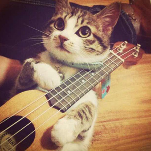 新疆旱厕拉屎视频最新
